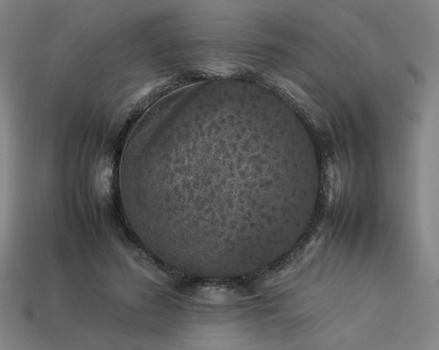 X0000113930596200909251221