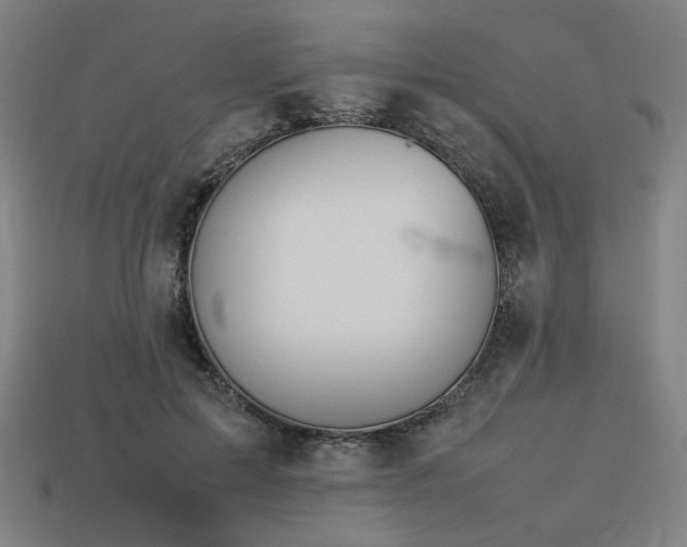 X0000113930599200909251221