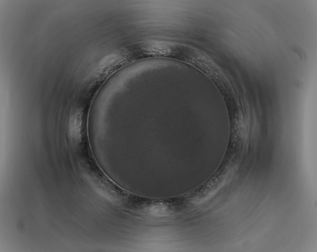 X0000113930600200909251221