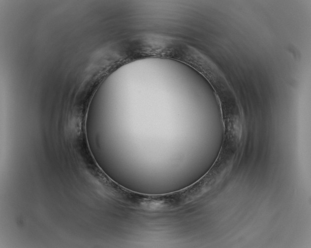 X0000113930602200909251221