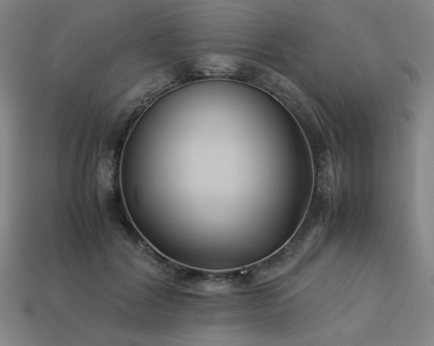 X0000113930604200909251221