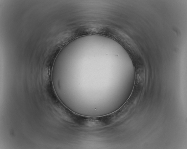 X0000113930605200909251221