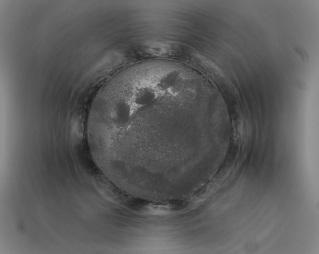 X0000113930606200909251221