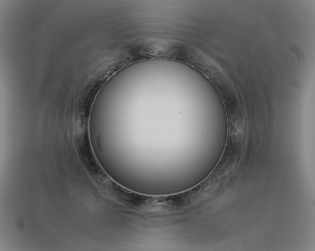X0000113930607200909251221