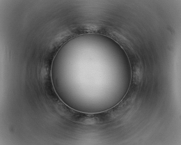 X0000113930608200909251221