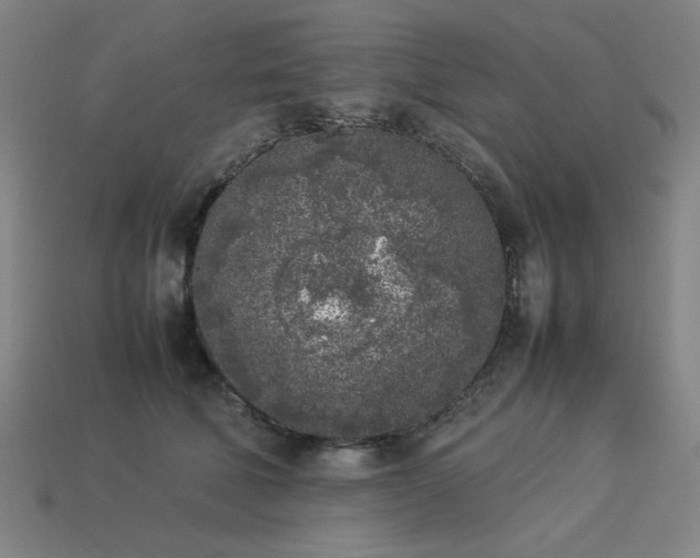 X0000113930610200909251221