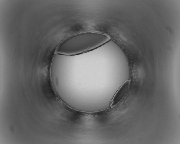 X0000113930611200909251221