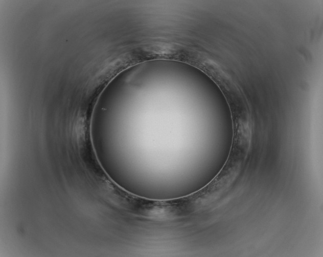 X0000113930612200909251221