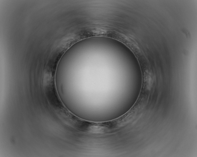 X0000113930614200909251221
