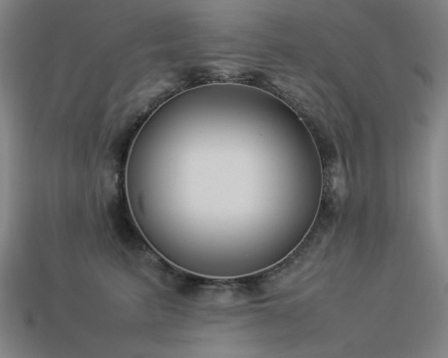 X0000113930615200909251221