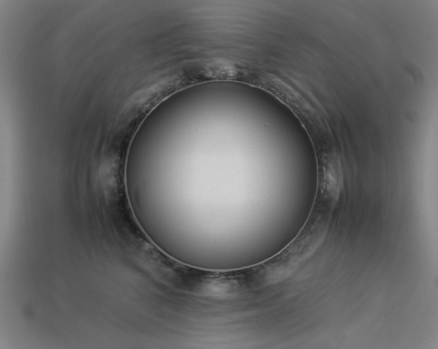 X0000113930616200909251220