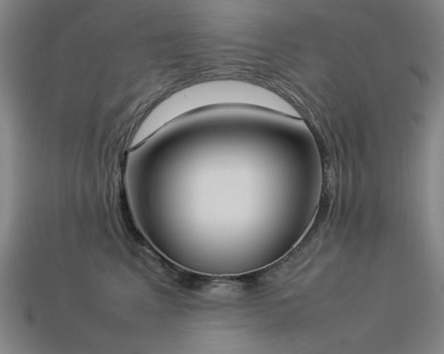 X0000113930617200909251220