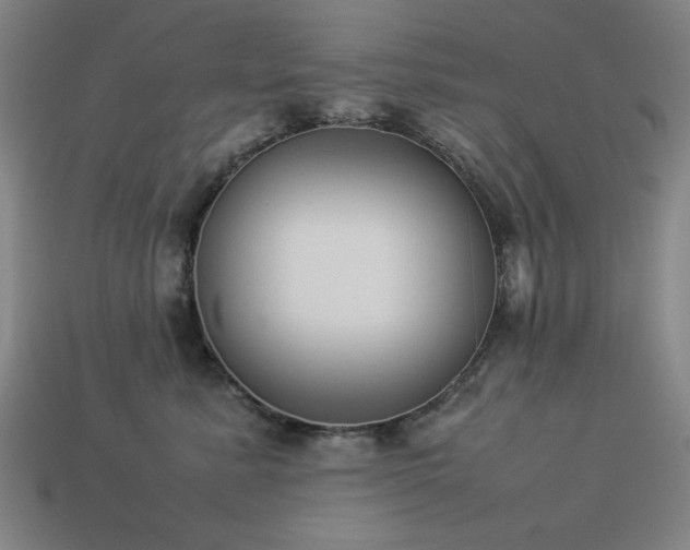 X0000113930619200909251220