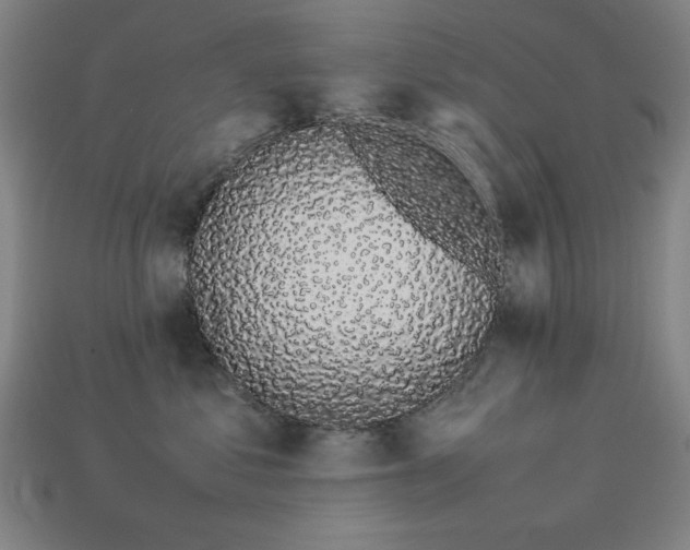 X0000113930621200909251220