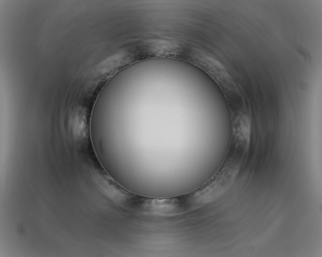X0000113930622200909251220