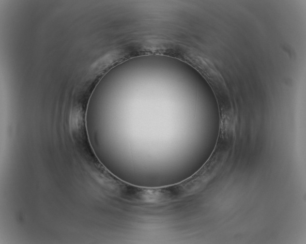 X0000113930623200909251220