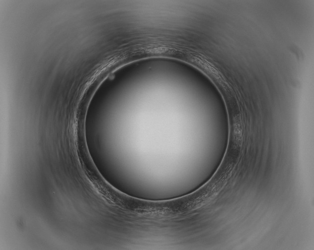 X0000113930626200909251220