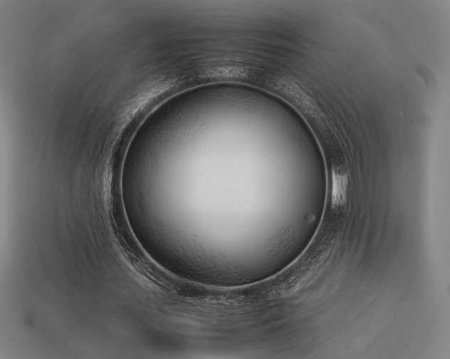 X0000113930627200909251220