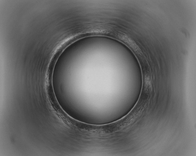 X0000113930628200909251220