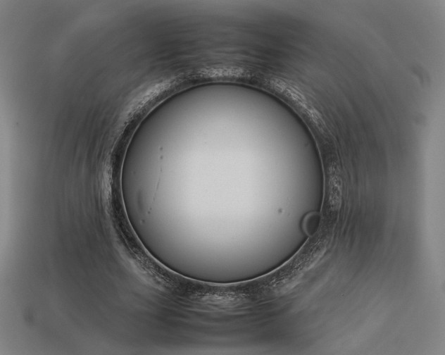 X0000113930631200909251220