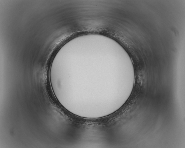 X0000113930632200909251220