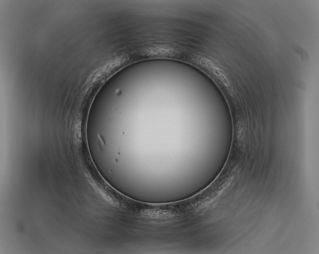 X0000113930633200909251220