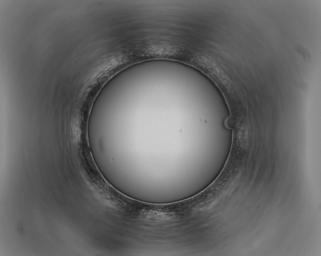 X0000113930635200909251220