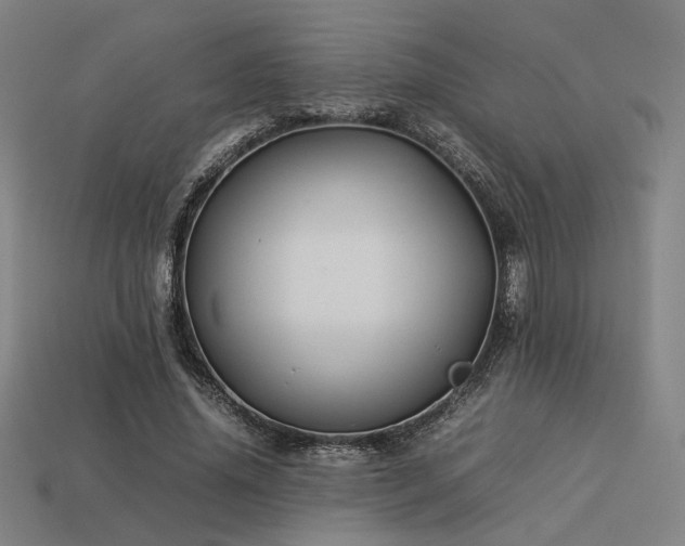 X0000113930636200909251220