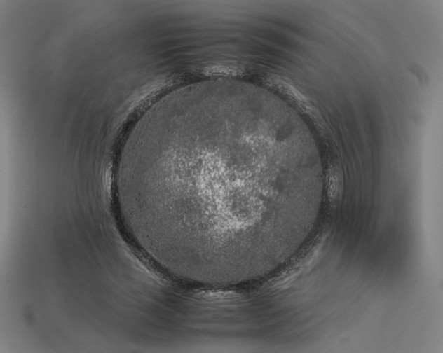 X0000113930637200909251220