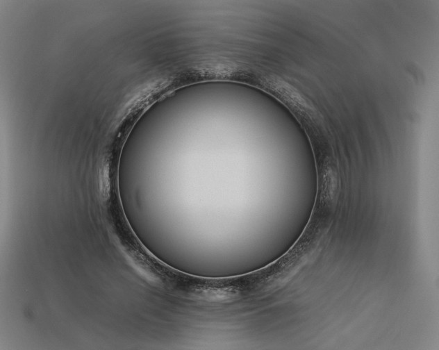 X0000113930638200909251220
