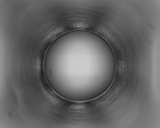 X0000113930639200909251220