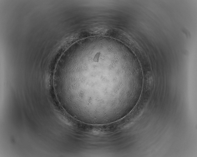 X0000113930641200909251220