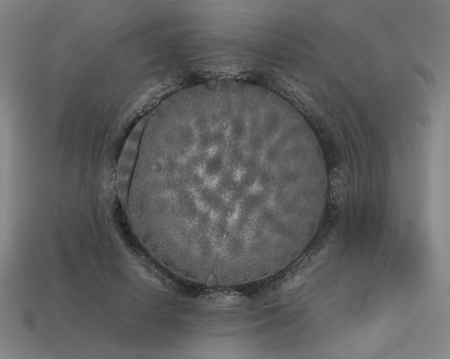 X0000113930642200909251220