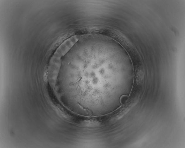 X0000113930644200909251220