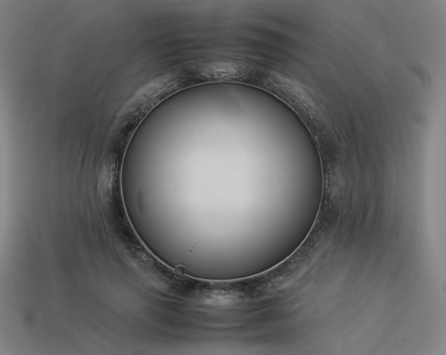 X0000113930645200909251220