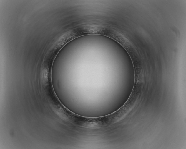 X0000113930646200909251220