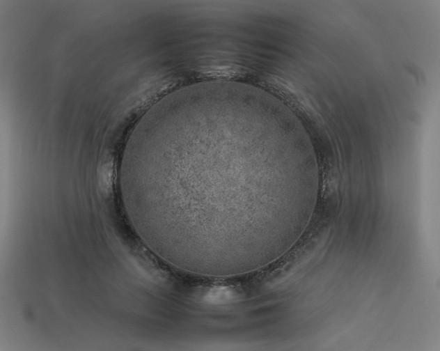 X0000113930647200909251220