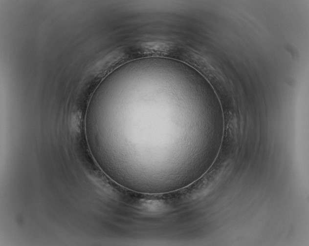 X0000113930649200909251220