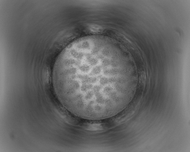 X0000113930651200909251220