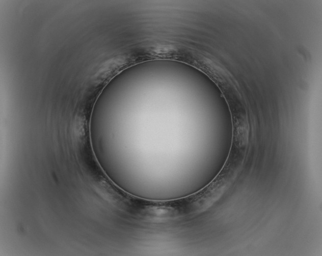X0000113930654200909251220
