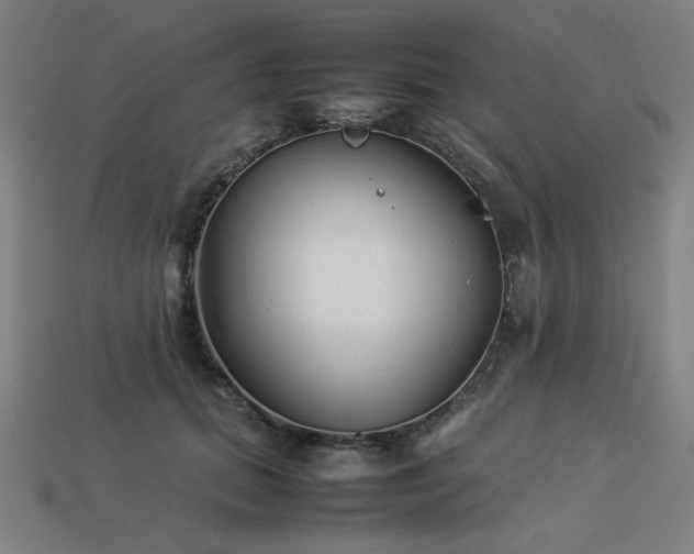 X0000113930655200909251220