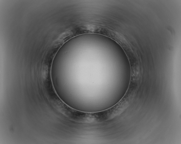 X0000113930656200909251220