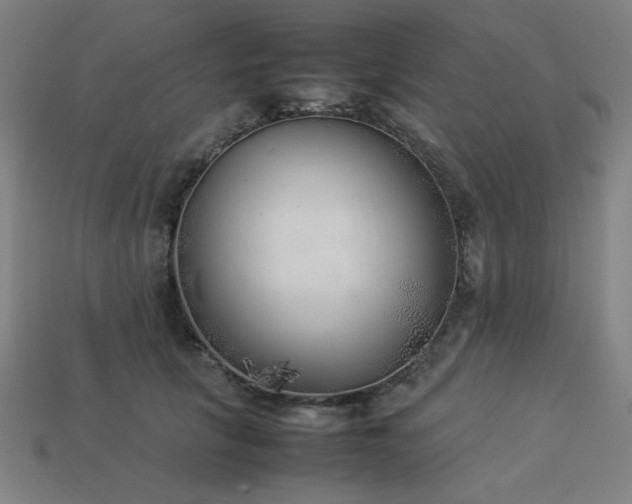X0000113930657200909251220
