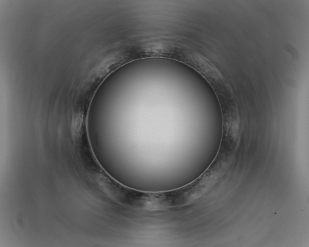 X0000113930660200909251220