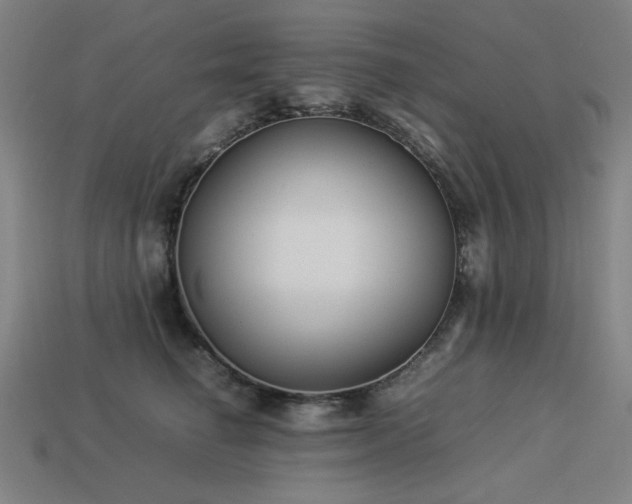 X0000113930662200909251220
