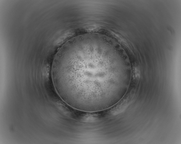 X0000113930664200909251220