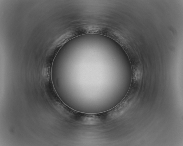 X0000113930666200909251220