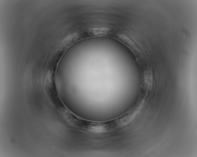 X0000113930667200909251220