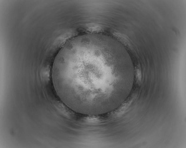 X0000113930668200909251220