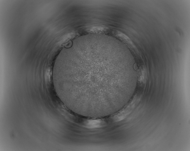 X0000113930669200909251220